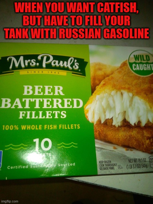 WHEN YOU WANT CATFISH, BUT HAVE TO FILL YOUR TANK WITH RUSSIAN GASOLINE | image tagged in catfish | made w/ Imgflip meme maker