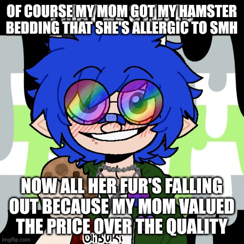 i may be stupid | OF COURSE MY MOM GOT MY HAMSTER BEDDING THAT SHE'S ALLERGIC TO SMH; NOW ALL HER FUR'S FALLING OUT BECAUSE MY MOM VALUED THE PRICE OVER THE QUALITY | image tagged in i may be stupid | made w/ Imgflip meme maker