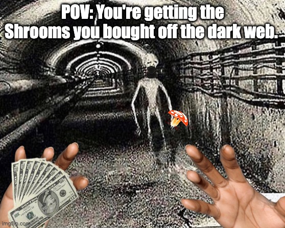 POV: Shrooms | POV: You're getting the Shrooms you bought off the dark web. | image tagged in alien walking through tunnel | made w/ Imgflip meme maker