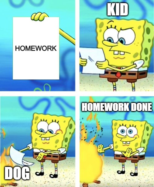 some kids do this. you know this right? | KID; HOMEWORK; HOMEWORK DONE; DOG | image tagged in spongebob burning paper | made w/ Imgflip meme maker