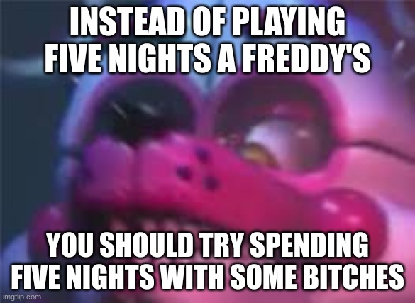 FNWSB | INSTEAD OF PLAYING FIVE NIGHTS A FREDDY'S; YOU SHOULD TRY SPENDING FIVE NIGHTS WITH SOME BITCHES | image tagged in fnaf | made w/ Imgflip meme maker