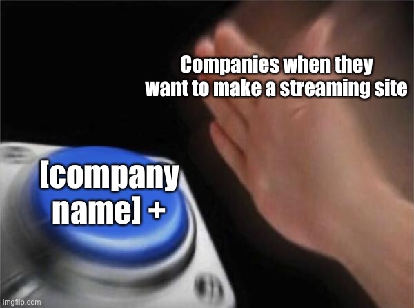 Blank Nut Button | Companies when they want to make a streaming site; [company name] + | image tagged in memes,blank nut button | made w/ Imgflip meme maker
