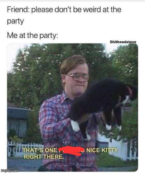 image tagged in cats,trailer park boys | made w/ Imgflip meme maker