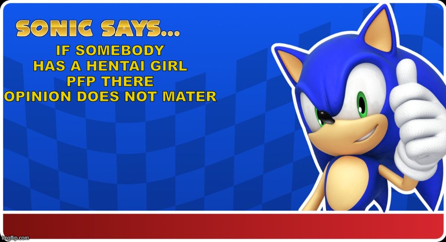 Sonic Says | IF SOMEBODY HAS A HENTAI GIRL PFP THERE OPINION DOES NOT MATER | image tagged in sonic says | made w/ Imgflip meme maker