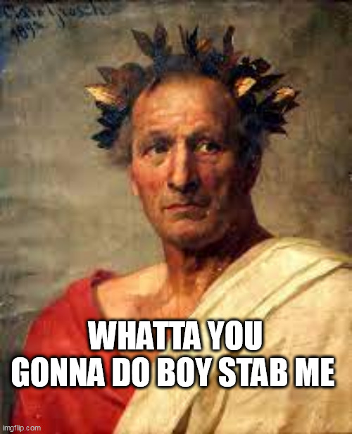 Julius Caesar | WHATTA YOU GONNA DO BOY STAB ME | image tagged in julius caesar | made w/ Imgflip meme maker