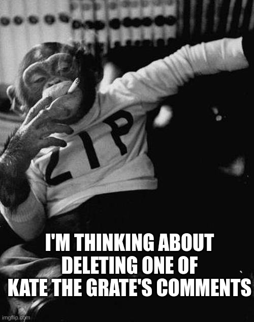 smoking monkey  | I'M THINKING ABOUT DELETING ONE OF KATE THE GRATE'S COMMENTS | image tagged in smoking monkey | made w/ Imgflip meme maker