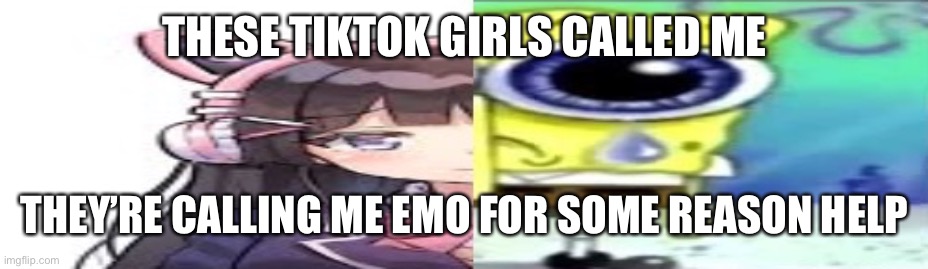 lol | THESE TIKTOK GIRLS CALLED ME; THEY’RE CALLING ME EMO FOR SOME REASON HELP | image tagged in lol | made w/ Imgflip meme maker