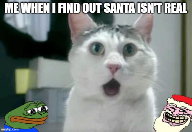 Sad life | ME WHEN I FIND OUT SANTA ISN'T REAL | image tagged in memes,omg cat | made w/ Imgflip meme maker