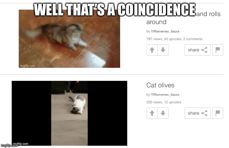 WH | WELL THAT’S A COINCIDENCE | image tagged in fun,cat,cats,olives,funny,unfunny | made w/ Imgflip meme maker