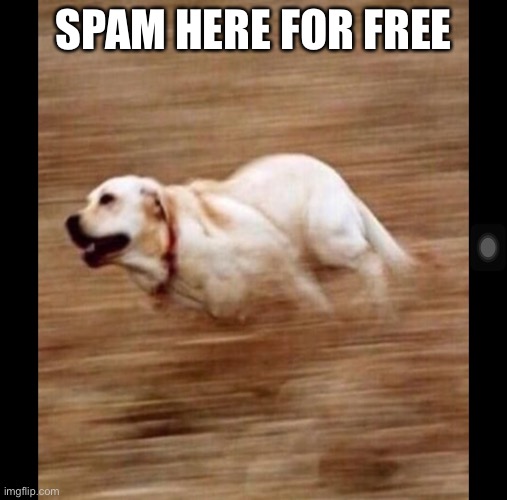 Spam here for free | SPAM HERE FOR FREE | image tagged in spam | made w/ Imgflip meme maker