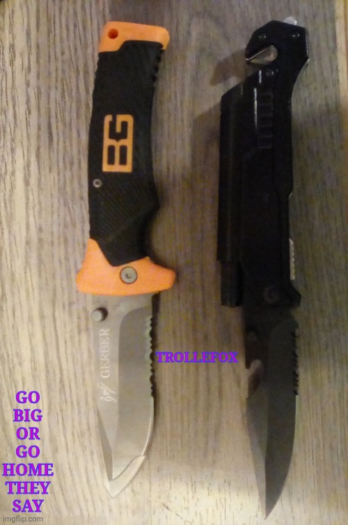 Knife | GO BIG OR GO HOME THEY SAY; TROLLEFOX | image tagged in knife | made w/ Imgflip meme maker