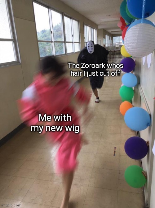 Just a idea | The Zoroark whos hair I just cut off; Me with my new wig | image tagged in black chasing red | made w/ Imgflip meme maker