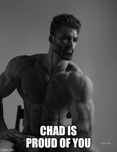 Giga Chad | CHAD IS PROUD OF YOU | image tagged in giga chad | made w/ Imgflip meme maker