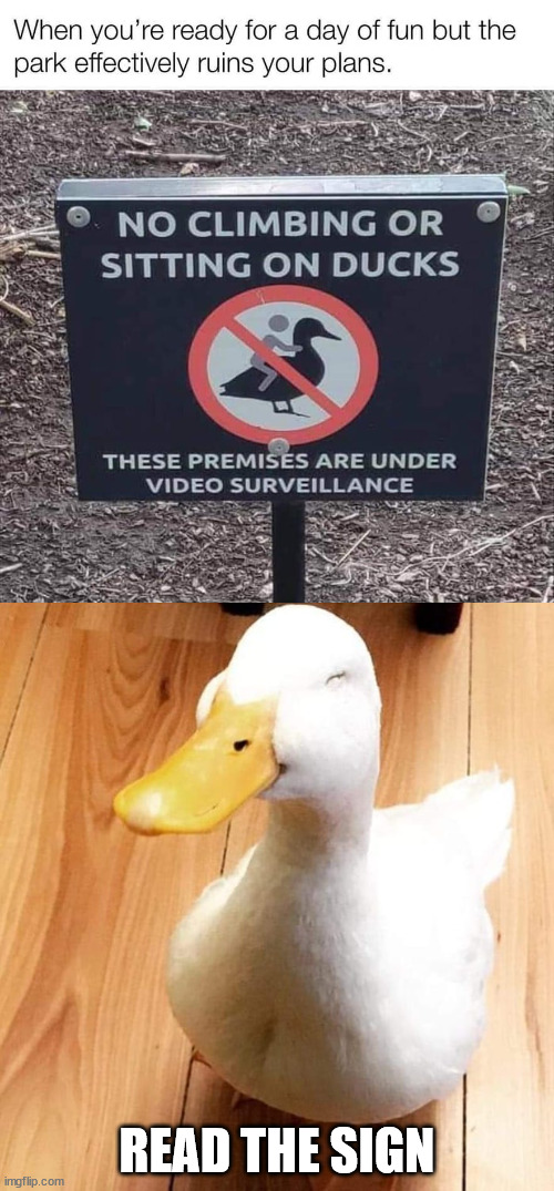 READ THE SIGN | image tagged in smile duck | made w/ Imgflip meme maker