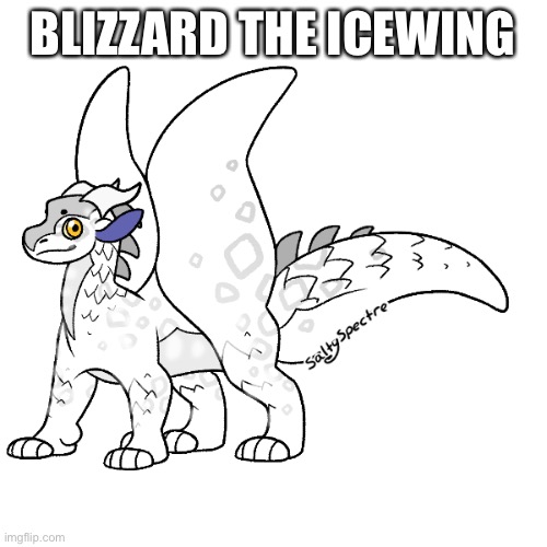 That’s what I’ve decided for the name | BLIZZARD THE ICEWING | made w/ Imgflip meme maker