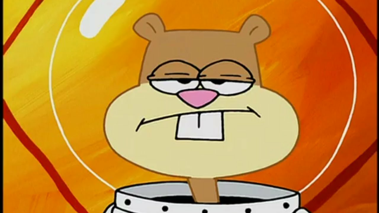 High Quality Sandy Cheeks is not impressed Blank Meme Template