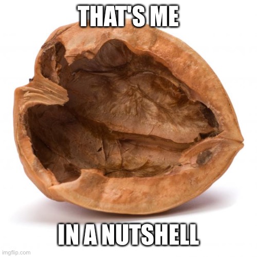 Nutshell | THAT'S ME IN A NUTSHELL | image tagged in nutshell | made w/ Imgflip meme maker
