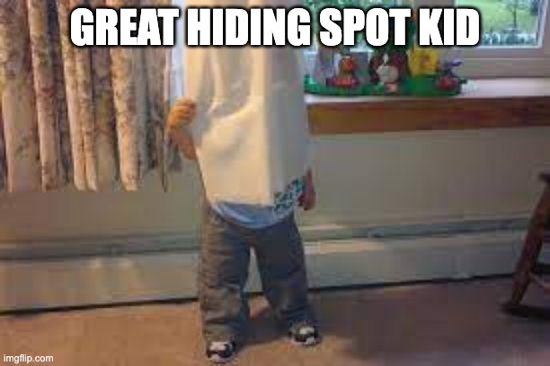 Great hiding spot kid | GREAT HIDING SPOT KID | image tagged in hiding spot,terrible | made w/ Imgflip meme maker