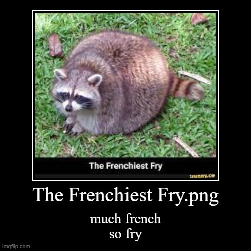 image tagged in funny,demotivationals,the frenchiest fry | made w/ Imgflip demotivational maker