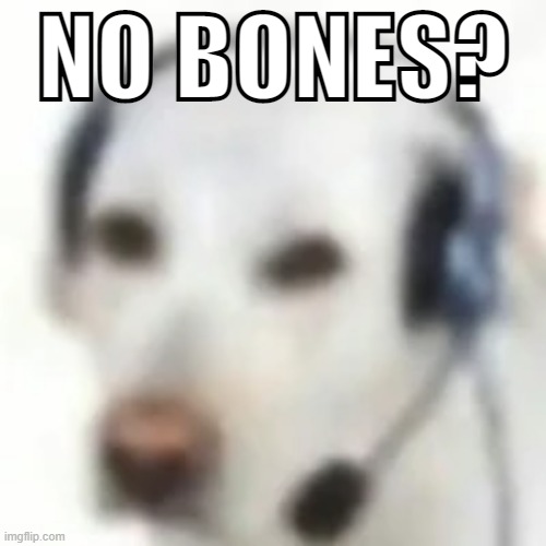 NO BONES? | image tagged in memes,dog | made w/ Imgflip meme maker