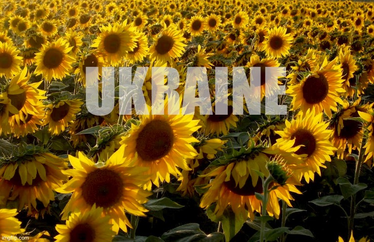 Ukraine | UKRAINE | image tagged in ukraine | made w/ Imgflip meme maker