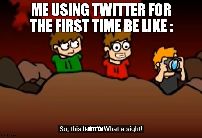 so this is twitter | ME USING TWITTER FOR THE FIRST TIME BE LIKE :; IS TWITTER! | image tagged in funny | made w/ Imgflip meme maker