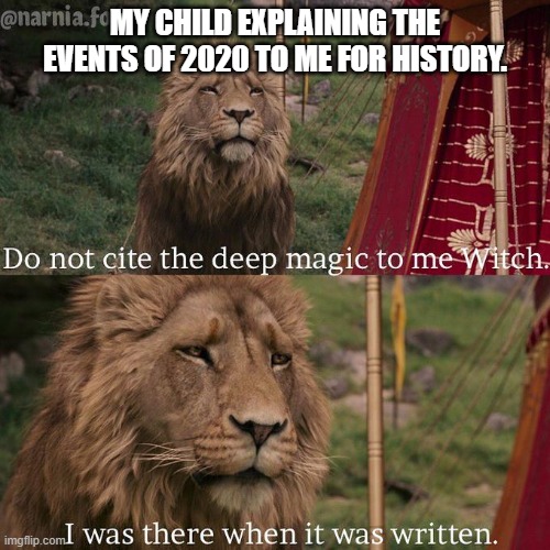 Do not cite the deep magic to me witch | MY CHILD EXPLAINING THE EVENTS OF 2020 TO ME FOR HISTORY. | image tagged in do not cite the deep magic to me witch | made w/ Imgflip meme maker