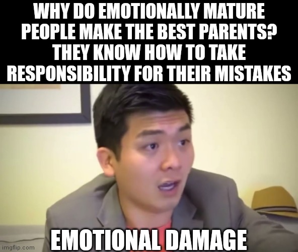Emotional Damage | WHY DO EMOTIONALLY MATURE PEOPLE MAKE THE BEST PARENTS?
THEY KNOW HOW TO TAKE RESPONSIBILITY FOR THEIR MISTAKES; EMOTIONAL DAMAGE | image tagged in emotional damage,memes,parenting | made w/ Imgflip meme maker