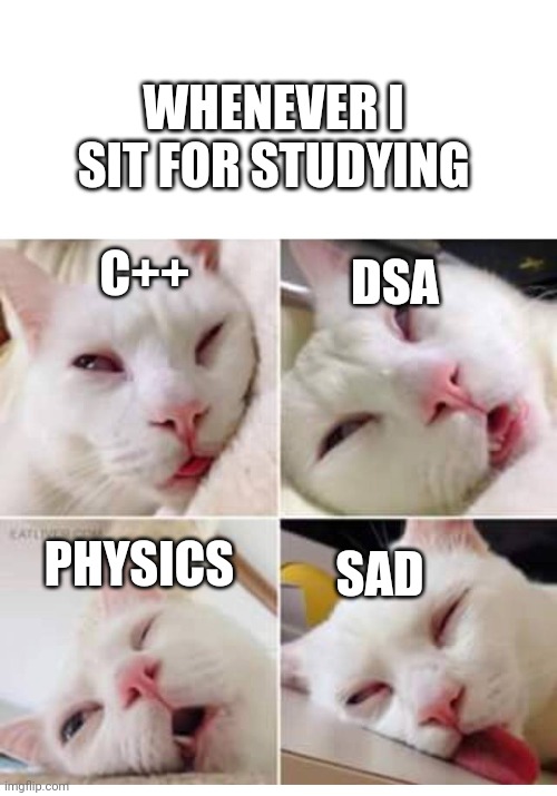 Programer cat | WHENEVER I SIT FOR STUDYING; DSA; C++; SAD; PHYSICS | image tagged in bored cat,programmers,programming | made w/ Imgflip meme maker
