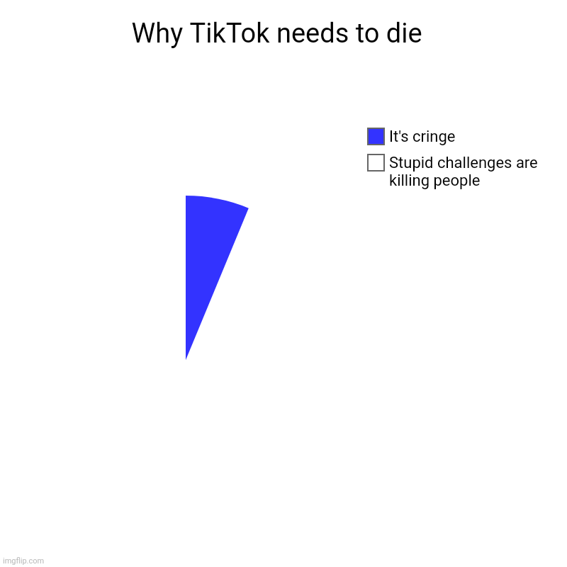 Why TikTok needs to die  | Stupid challenges are killing people , It's cringe | image tagged in charts,pie charts | made w/ Imgflip chart maker