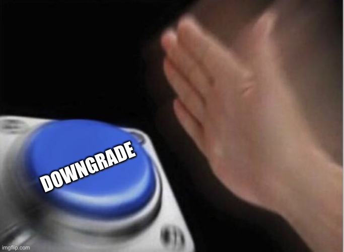 slap that button | DOWNGRADE | image tagged in slap that button | made w/ Imgflip meme maker