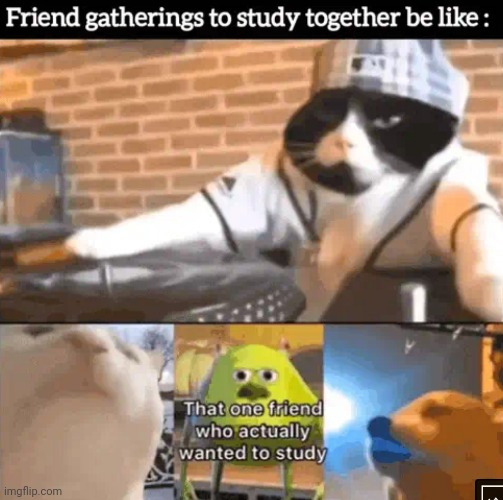 image tagged in friends,studying,together | made w/ Imgflip meme maker