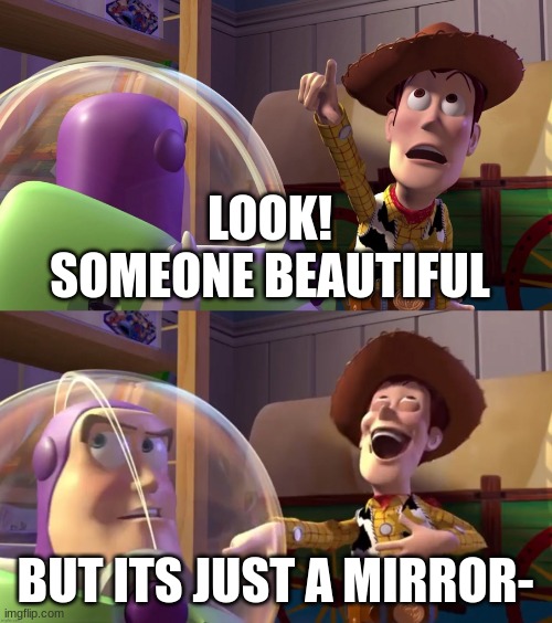 Toy Story funny scene | LOOK! SOMEONE BEAUTIFUL BUT ITS JUST A MIRROR- | image tagged in toy story funny scene | made w/ Imgflip meme maker