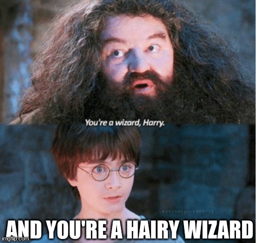 Hairy wizard | AND YOU'RE A HAIRY WIZARD | image tagged in you're a wizard harry | made w/ Imgflip meme maker