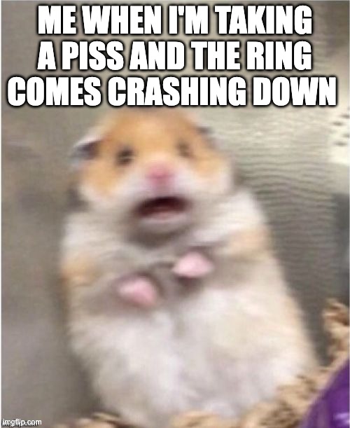 Scared Hamster | ME WHEN I'M TAKING A PISS AND THE RING COMES CRASHING DOWN | image tagged in scared hamster,relatable memes | made w/ Imgflip meme maker
