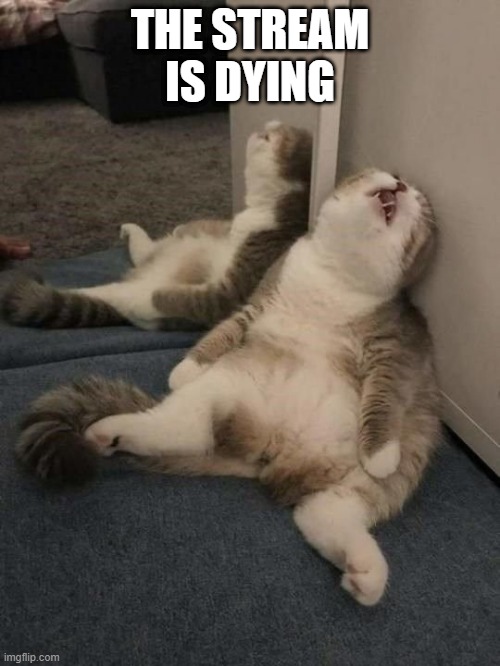 tired cat | THE STREAM IS DYING | image tagged in tired cat | made w/ Imgflip meme maker