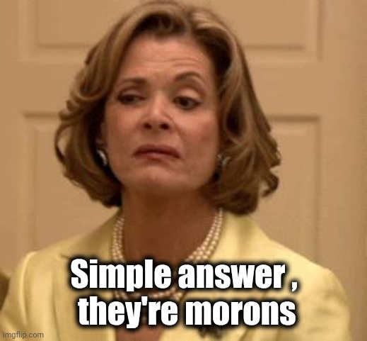 disdain | Simple answer ,
 they're morons | image tagged in disdain | made w/ Imgflip meme maker