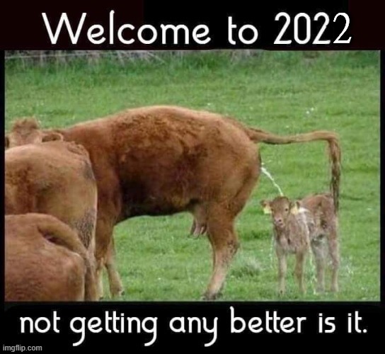 2022 | 2 | image tagged in life is good but it can be better | made w/ Imgflip meme maker