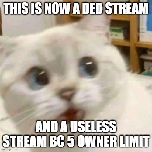 scared cat |  THIS IS NOW A DED STREAM; AND A USELESS STREAM BC 5 OWNER LIMIT | image tagged in scared cat | made w/ Imgflip meme maker