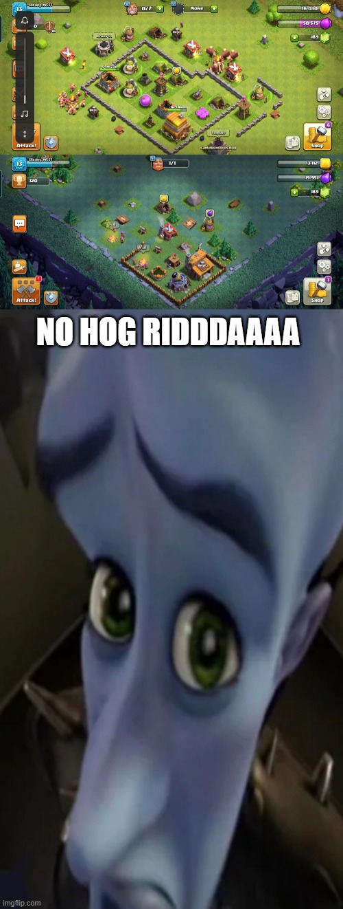 yes :/ | NO HOG RIDDDAAAA | image tagged in no bitches | made w/ Imgflip meme maker