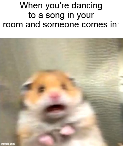 Worst part is you were also singing into a hairbrush | When you're dancing to a song in your room and someone comes in: | image tagged in scared hamster,relatable memes | made w/ Imgflip meme maker