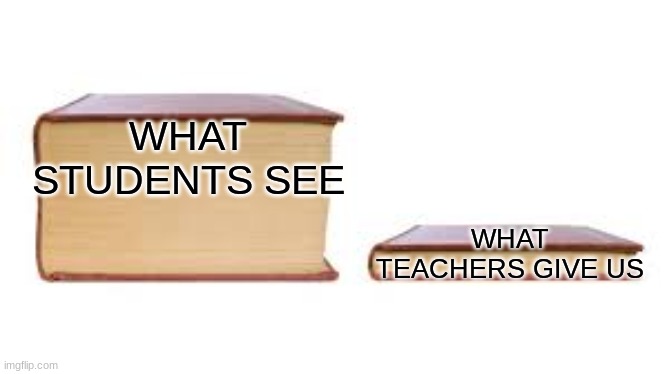 Big book small book | WHAT STUDENTS SEE; WHAT TEACHERS GIVE US | image tagged in big book small book | made w/ Imgflip meme maker