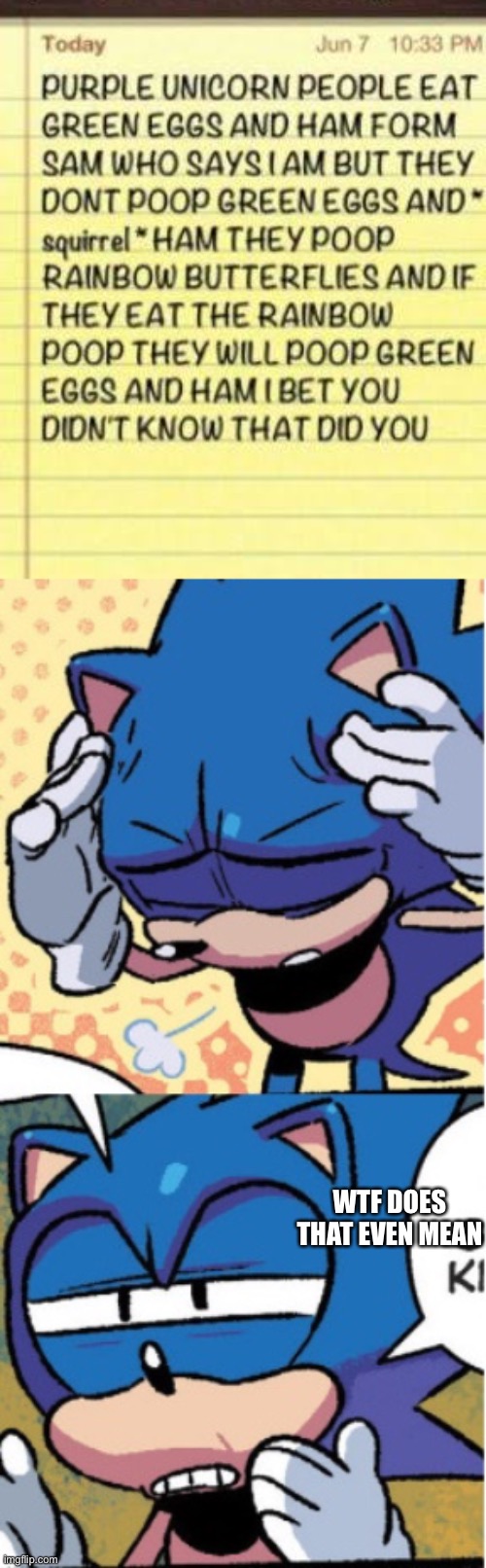WTF DOES THAT EVEN MEAN | image tagged in sonic boi | made w/ Imgflip meme maker
