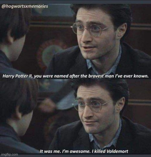 The bravest wizard | image tagged in harry potter | made w/ Imgflip meme maker