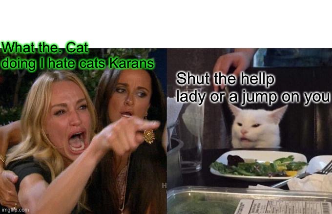 Woman Yelling At Cat | What the. Cat doing I hate cats Karans; Shut the hellp lady or a jump on you | image tagged in memes,woman yelling at cat | made w/ Imgflip meme maker