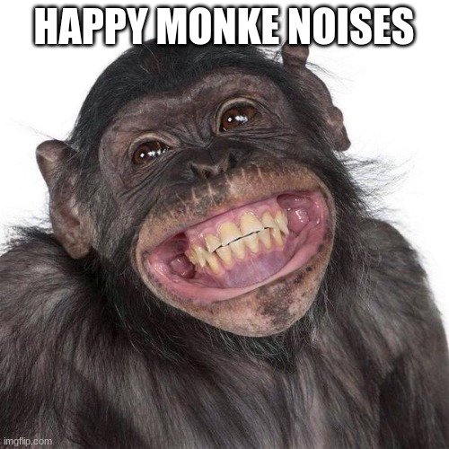 Happy Monkey NOW | HAPPY MONKE NOISES | image tagged in happy monkey now | made w/ Imgflip meme maker