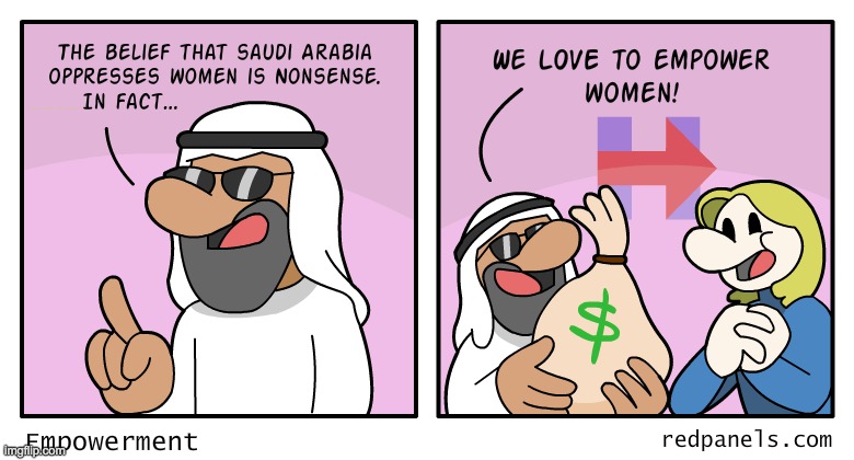 To their credit, Saudi Arabia is perhaps the world's largest state funder of a professional feminist. And she still lost! | made w/ Imgflip meme maker