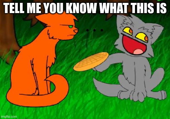 Firestar doesn't like waffles | TELL ME YOU KNOW WHAT THIS IS | image tagged in firestar doesn't like waffles | made w/ Imgflip meme maker
