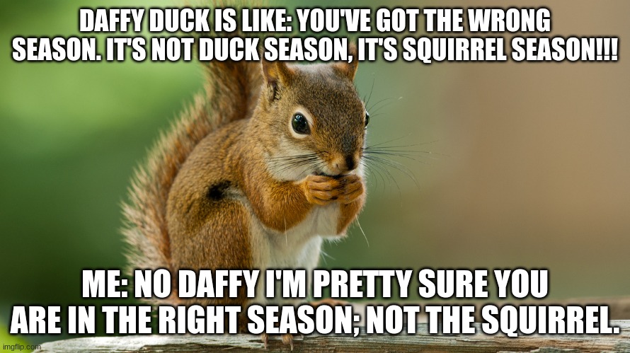 Daffy Duck Arguement | DAFFY DUCK IS LIKE: YOU'VE GOT THE WRONG SEASON. IT'S NOT DUCK SEASON, IT'S SQUIRREL SEASON!!! ME: NO DAFFY I'M PRETTY SURE YOU ARE IN THE RIGHT SEASON; NOT THE SQUIRREL. | image tagged in funny | made w/ Imgflip meme maker