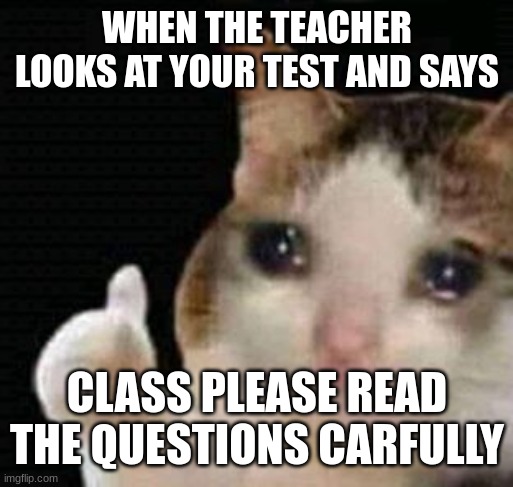 Sad | WHEN THE TEACHER LOOKS AT YOUR TEST AND SAYS; CLASS PLEASE READ THE QUESTIONS CARFULLY | image tagged in sad thumbs up cat | made w/ Imgflip meme maker